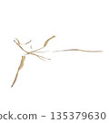 Dry grass plants 3d illustration on transparent background 135379630
