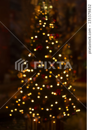 Christmas tree  135379832