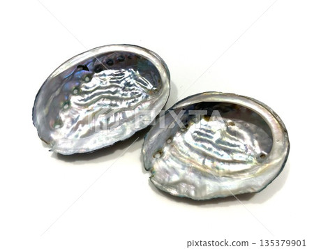 Inside the abalone shell 22 135379901