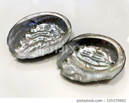 鮑魚殼內 23 鮑魚殼內 23 135379902