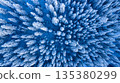 Top down aerial view of a snow covered evergreen forest in winter. Frosted trees form a natural pattern in a pristine, icy blue landscape, creating a calm, abstract and cinematic winter scene. 135380299