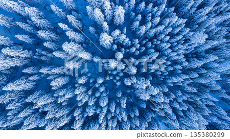 Top down aerial view of a snow covered evergreen forest in winter. Frosted trees form a natural pattern in a pristine, icy blue landscape, creating a calm, abstract and cinematic winter scene. 135380299