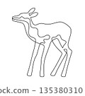 Monoline fawn vector illustration isolated on white background 135380310