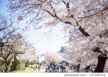 大分縣城遺址和櫻花 135380358