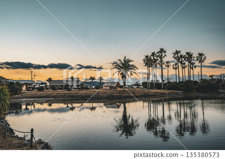 A campsite with palm trees and beautiful sunsets and reflections on the water 135380573