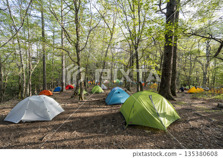 Mountain tent site scenery in the fresh green forest Mountain tent site scenery in the fresh green forest 135380608