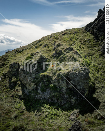 Wild deer grazing in alpine meadows Wild deer grazing in alpine meadows 135380610