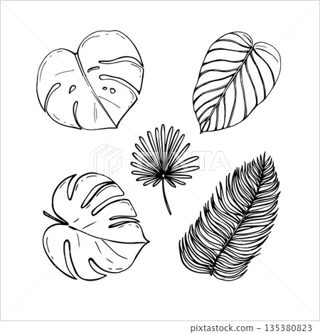 Safari leaves in doodle style 135380823