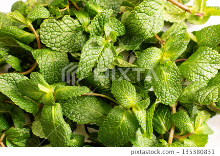 Peppermint leaves as a background Peppermint leaves as a background 135380831