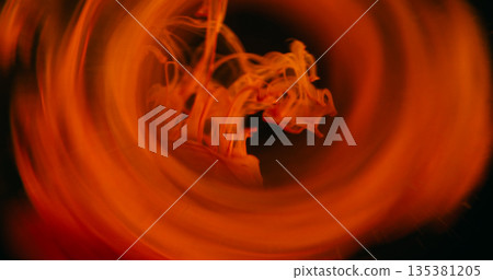 Defocused fume drop. Dye swirl. Red orange steam liquid paint dissolving underwater. Circle bright prism blending color on black background. Defocused fume drop. Dye swirl. Red orange steam liquid paint dissolving underwater. Circle bright prism blending color on black background. 135381205