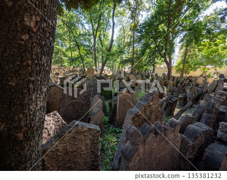 The Old Jewish Cemetery in Prague, located in the Jewish Quarter The Old Jewish Cemetery in Prague, located in the Jewish Quarter 135381232