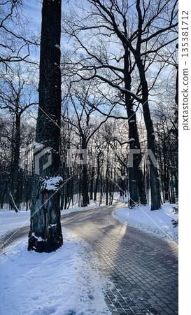 Sunlight hitting a snowy stone path winding through a quiet winter park with tall bare trees 135381712