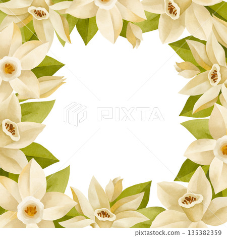 Hand-drawn watercolor blooming vanilla flowers and leaves and buds frame composition isolated on white background 135382359