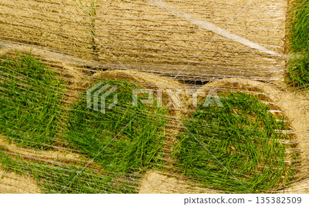 Stacks of sod rolls for new lawn Stacks of sod rolls for new lawn 135382509