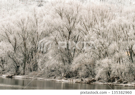 winter landscape with a river 135382960