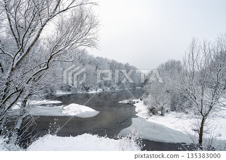 Winter landscape of the Dniester River 135383000