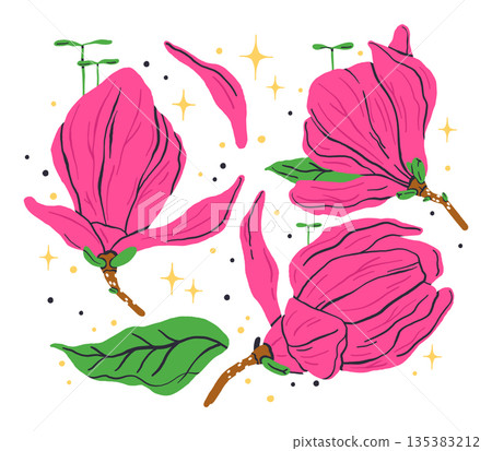 Magnolia blossoms. Pink flower petals, magnolia flowers on tree branch, botanical flat vector illustration set. Hand drawn beautiful flowers on white 135383212
