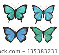 Wonderful clipart, set of delicate blue, green and turquoise butterflies 135383231