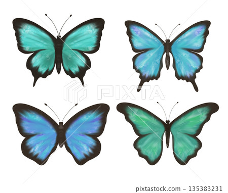 Wonderful clipart, set of delicate blue, green and turquoise butterflies 135383231