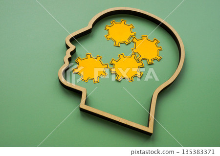 Head with gears symbolizing critical thinking. 135383371