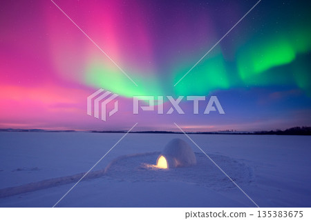 A lonely igloo glowing from inside in a frozen snow field 135383675