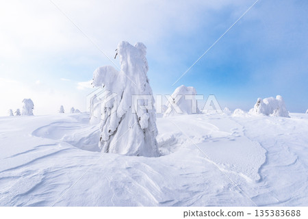 Frozen winter trees shaped by wind and covered with heavy snow Frozen winter trees shaped by wind and covered with heavy snow 135383688