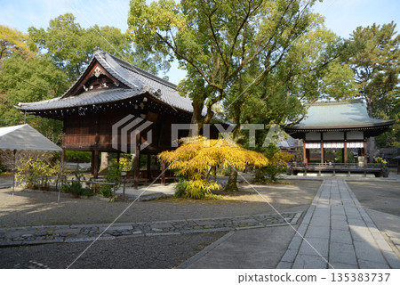 京都市上京區上京神社的秋景 135383737