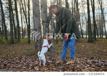 Man training small dog on leash in park covered with autumn leaves 135384054