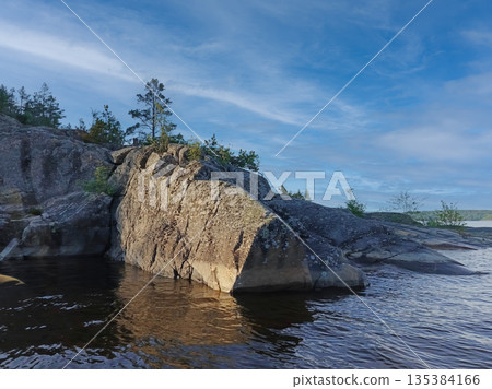 A large rock sits in the water next to a tree. 135384166