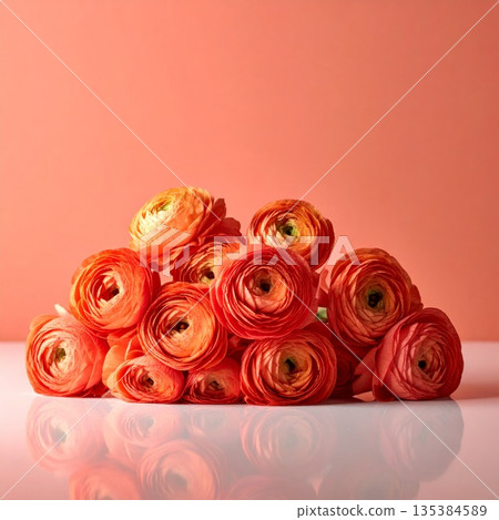 Pile of Orange Ranunculus Flowers on a Pink Background Studio Shot Pile of Orange Ranunculus Flowers on a Pink Background Studio Shot 135384589