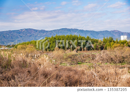 Winter scenery of the Katsura River riverbed, Kyoto City 135387205