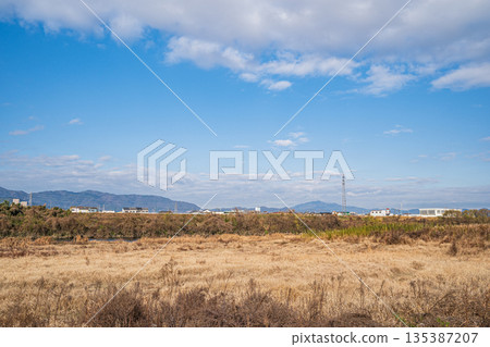 京都桂川河床的冬季景色 135387207