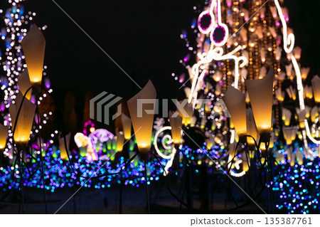 winter night illumination 135387761