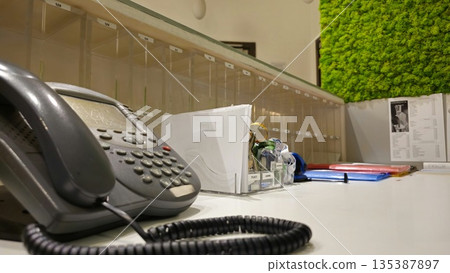 Modern Office Reception with Phone and Green Wall Decor Modern Office Reception with Phone and Green Wall Decor 135387897