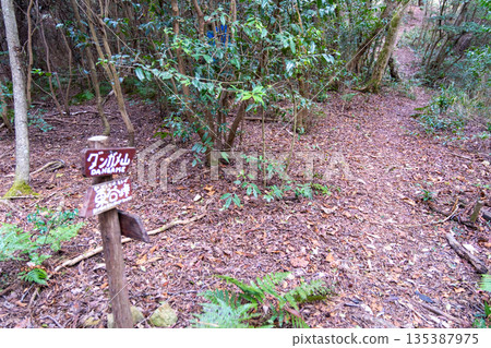 Oku-no-Hosomichi Alps Signboard and Trail, Setouchi City, Okayama Prefecture 135387975