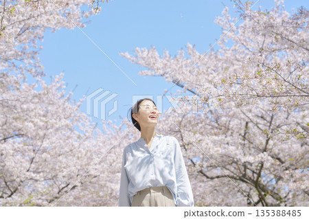 A woman taking a walk with the cherry blossoms in full bloom A woman taking a walk with the cherry blossoms in full bloom 135388485
