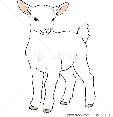 手繪的可愛白山羊插圖 手繪的可愛白山羊插圖 135388721