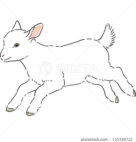 手繪的可愛白山羊插圖 手繪的可愛白山羊插圖 135388722