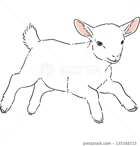 手繪的可愛白山羊插圖 手繪的可愛白山羊插圖 135388723