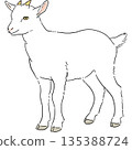 手繪的可愛白山羊插圖 135388724