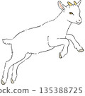 手繪的可愛白山羊插圖 135388725