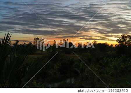 Dramatic sunrise over a tropical rural landscape with a layered cloudy sky. Silhouetted trees and palm leaves frame a golden horizon reflected in a small pond at dawn. Peaceful morning scene. Dramatic sunrise over a tropical rural landscape with a layered cloudy sky. Silhouetted trees and palm leaves frame a golden horizon reflected in a small pond at dawn. Peaceful morning scene. 135388750