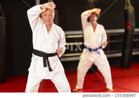 Sensei demonstrating kata with student on tatami Sensei demonstrating kata with student on tatami 135388997