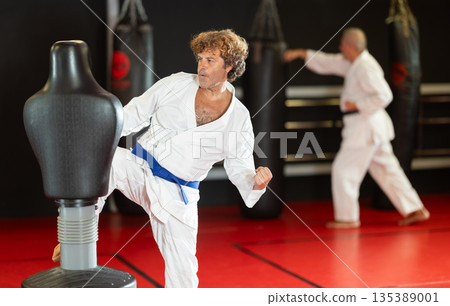 Karate practitioner striking mannequin bag in dojo Karate practitioner striking mannequin bag in dojo 135389001