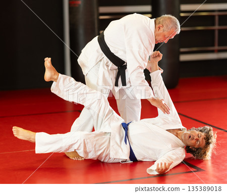 Senior aikido practitioner training with partner in dojo Senior aikido practitioner training with partner in dojo 135389018