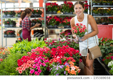 Girl buys and purchase potted vinca plant in flower shop Girl buys and purchase potted vinca plant in flower shop 135389038
