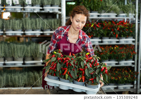 Middle-aged saleswoman holding garden-pots with decorative pepper Middle-aged saleswoman holding garden-pots with decorative pepper 135389248
