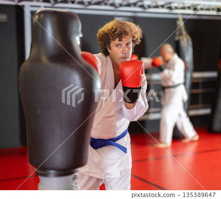 Blue-belt karateka punching training dummy in gym 135389647
