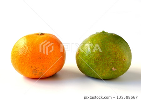 白色背景上的成熟和未成熟的柑橘 135389667