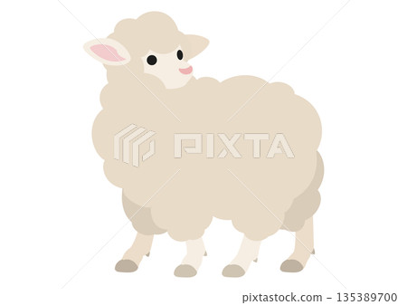 Cute vector illustration of a sheep looking back 135389700